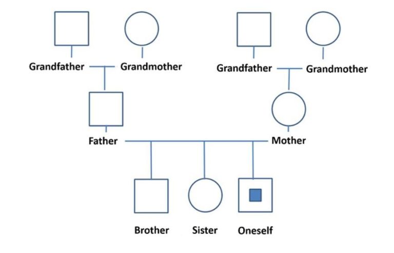 Wat is een familie systeem? - Mindsetters
