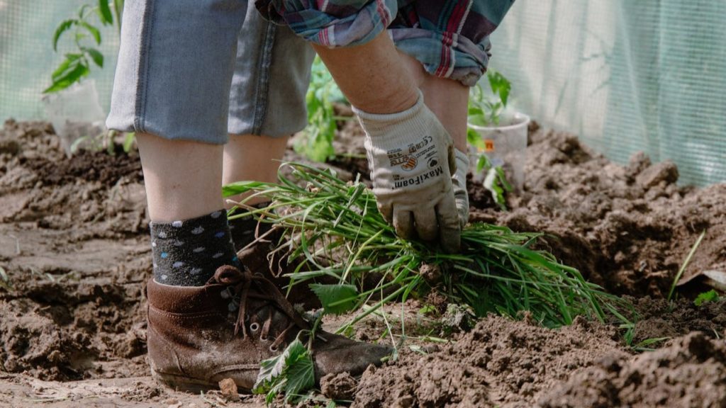 De fysieke voordelen van tuinieren