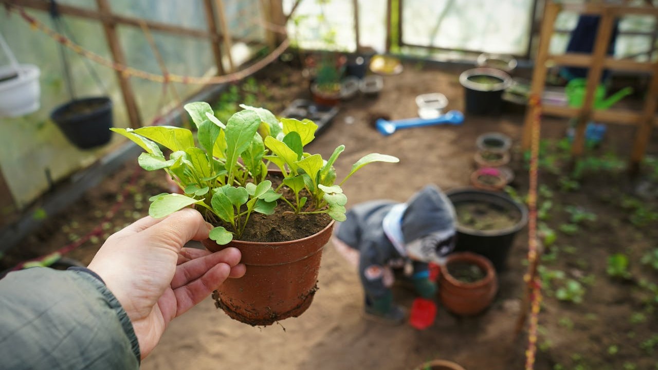 De vele voordelen van tuinieren