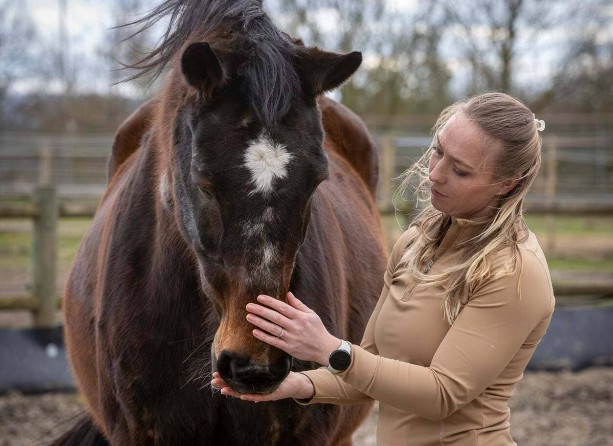 Therapie met Paardenkracht